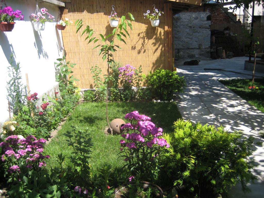 Aseva House Guest House Bansko Ngoại thất bức ảnh