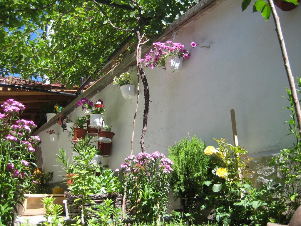 Aseva House Guest House Bansko Ngoại thất bức ảnh