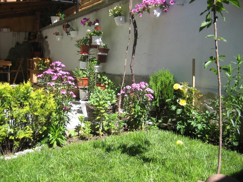 Aseva House Guest House Bansko Ngoại thất bức ảnh