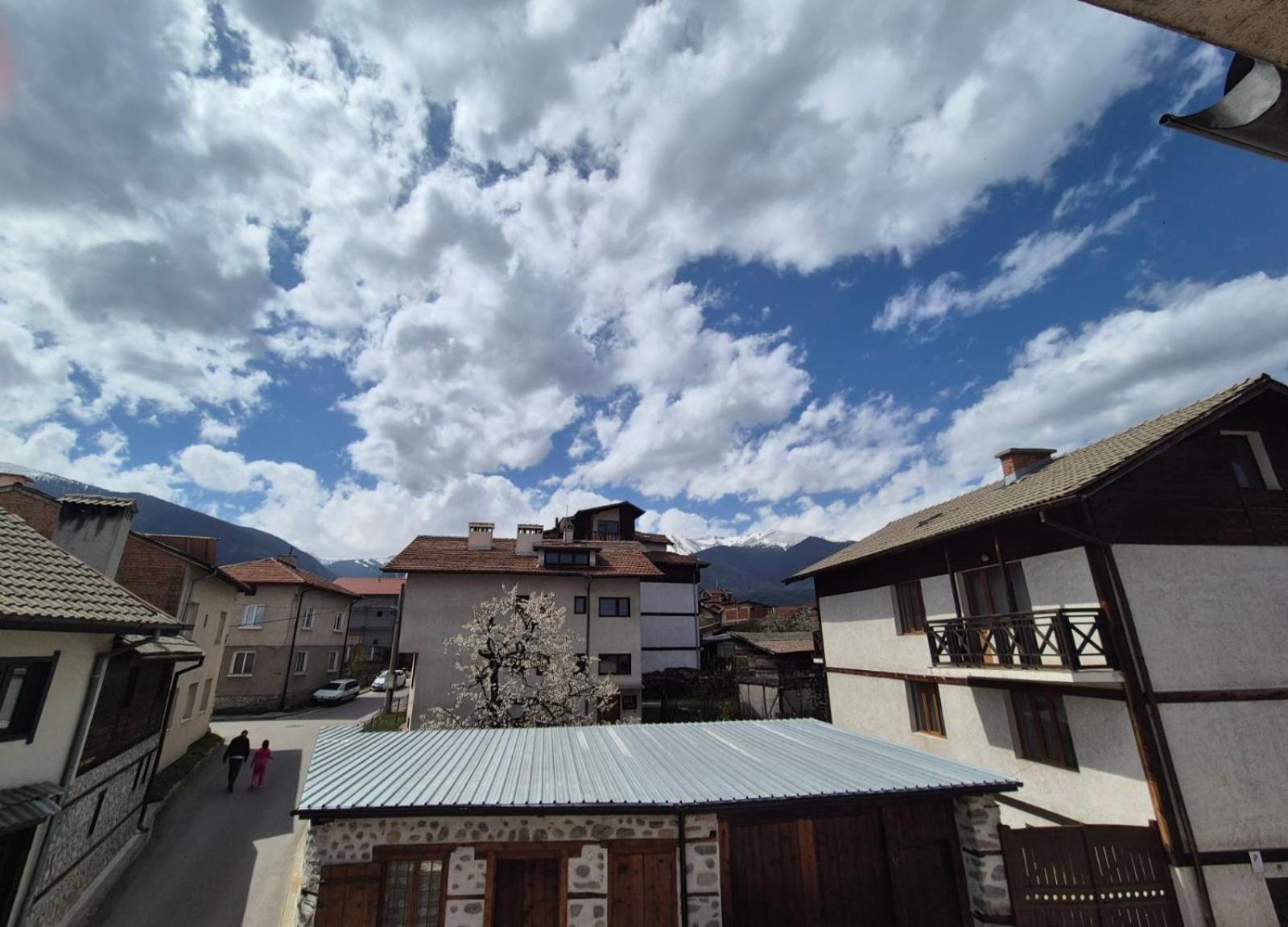 Aseva House Guest House Bansko Ngoại thất bức ảnh